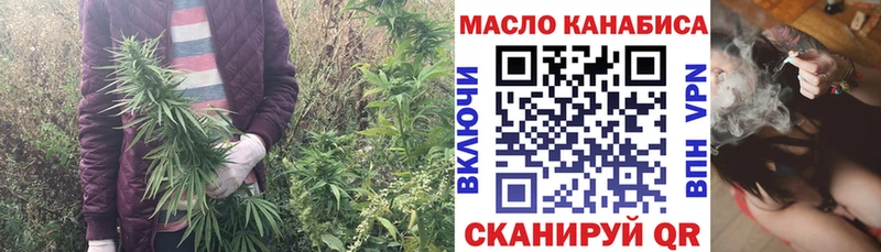 Дистиллят ТГК Wax  Купить закладки  Красный Холм 