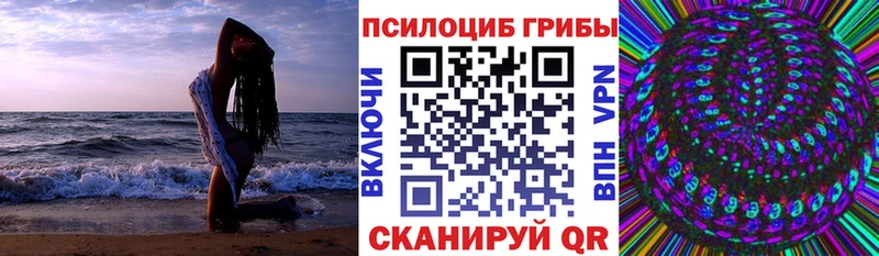 Купить где  Красный Холм  Псилоцибиновые грибы GOLDEN TEACHER 